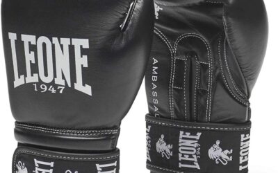 Reseña: guantes Leone Ambassador, análisis en profundidad