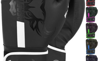 Reseña: guantes de boxeo Beast Rage, análisis en profundidad