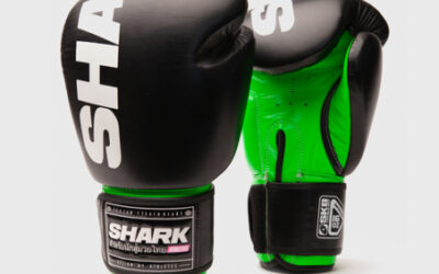 Reseña: guantes de boxeo Shark Polaris, análisis en profundidad