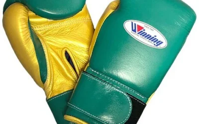 ¿Qué Modelos hay de Guantes Winning y cuál Elegir?