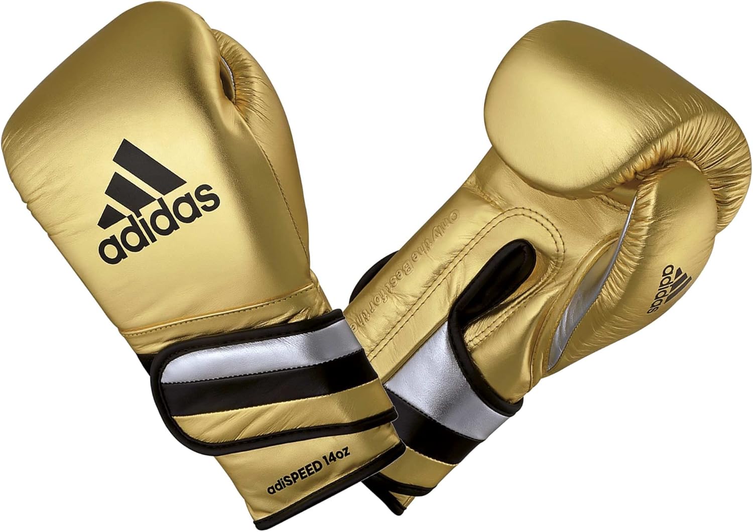 adispeed 501 dorado