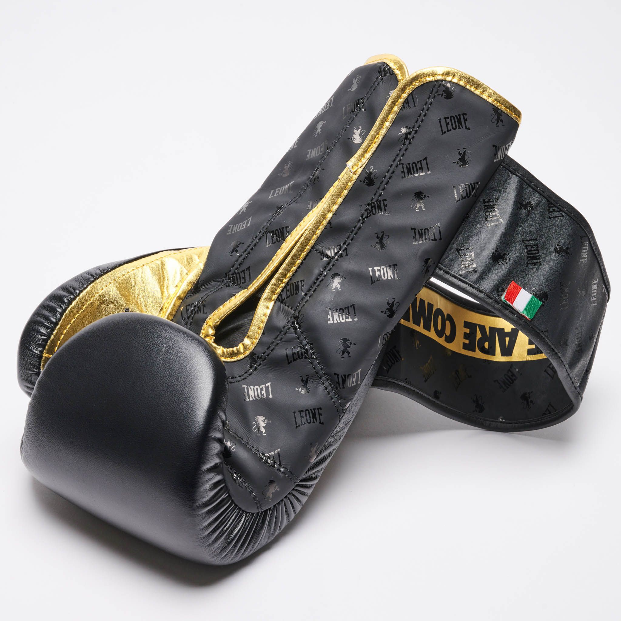Análisis y opinión de los Guantes de Boxeo Leone DNA (GN220)