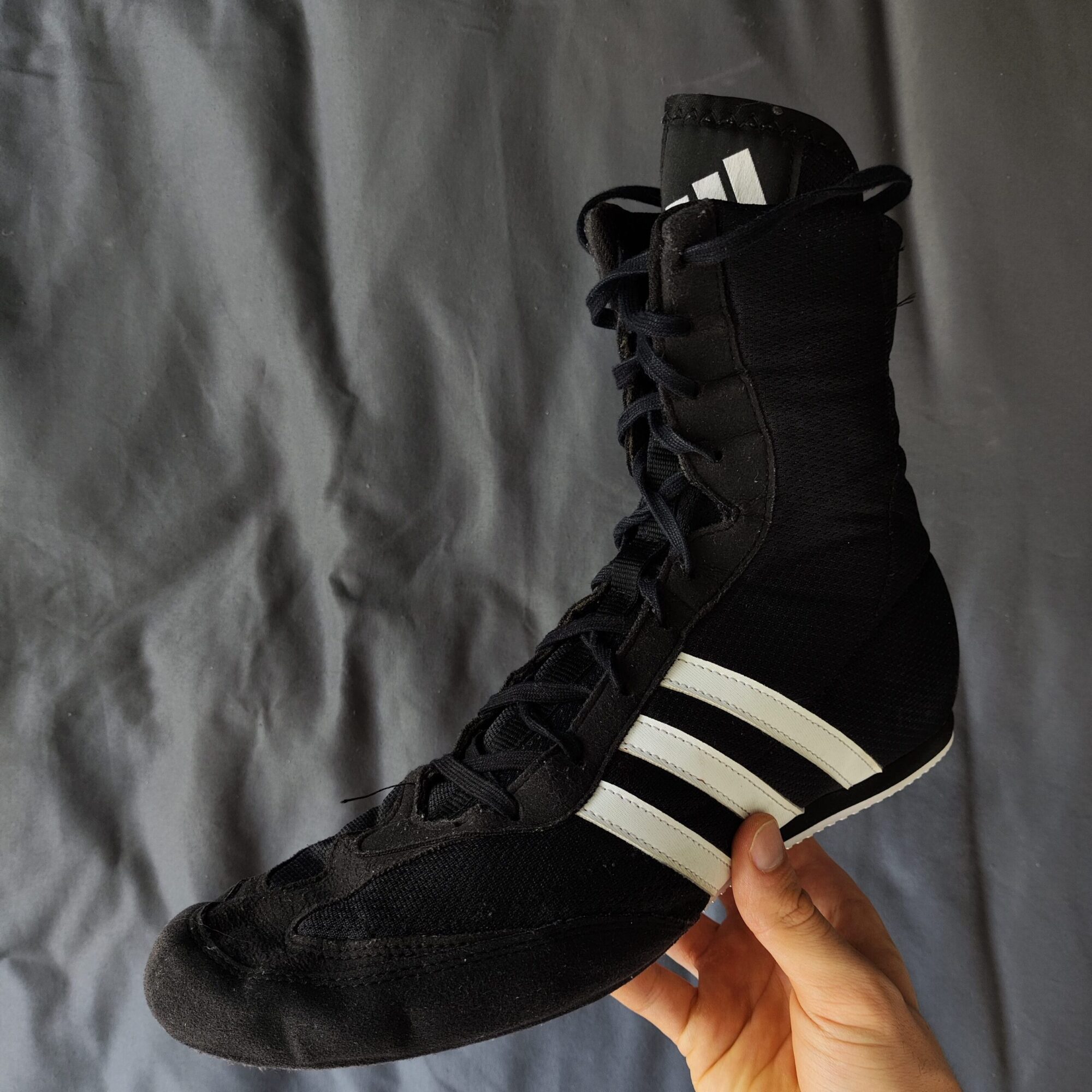 foto box hog 2 8 edited scaled