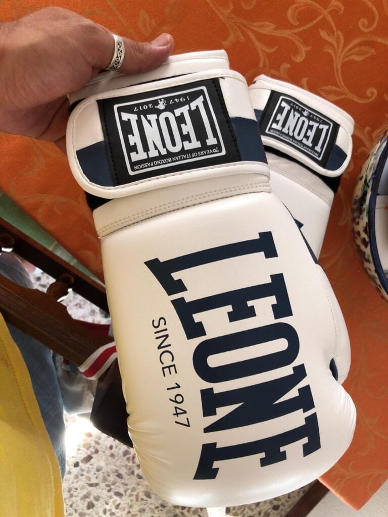 Mejores Guantes de Boxeo Leone 14 leone knockout review 1